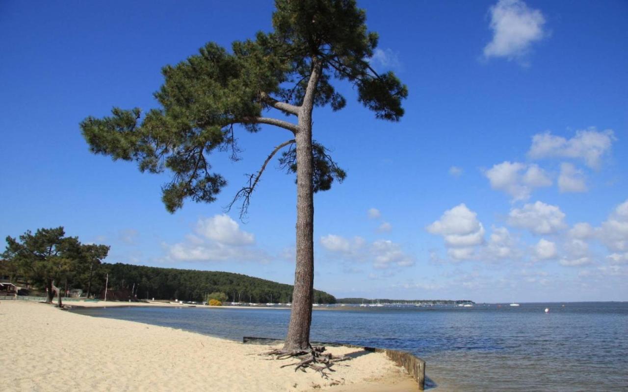 Maison Piscine 4 Ch Carcans Medoc Bassin Arcachon Екстериор снимка