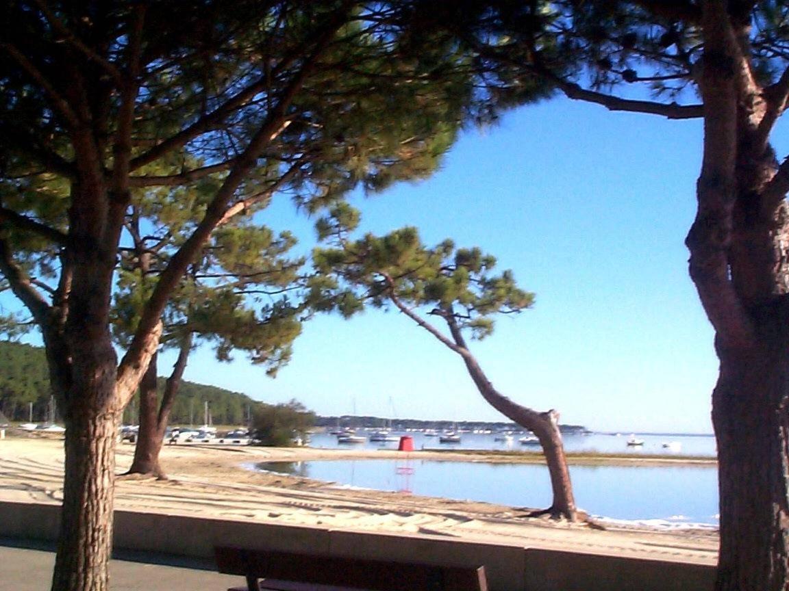 Maison Piscine 4 Ch Carcans Medoc Bassin Arcachon Екстериор снимка