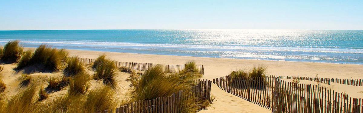 Maison Piscine 4 Ch Carcans Medoc Bassin Arcachon Екстериор снимка