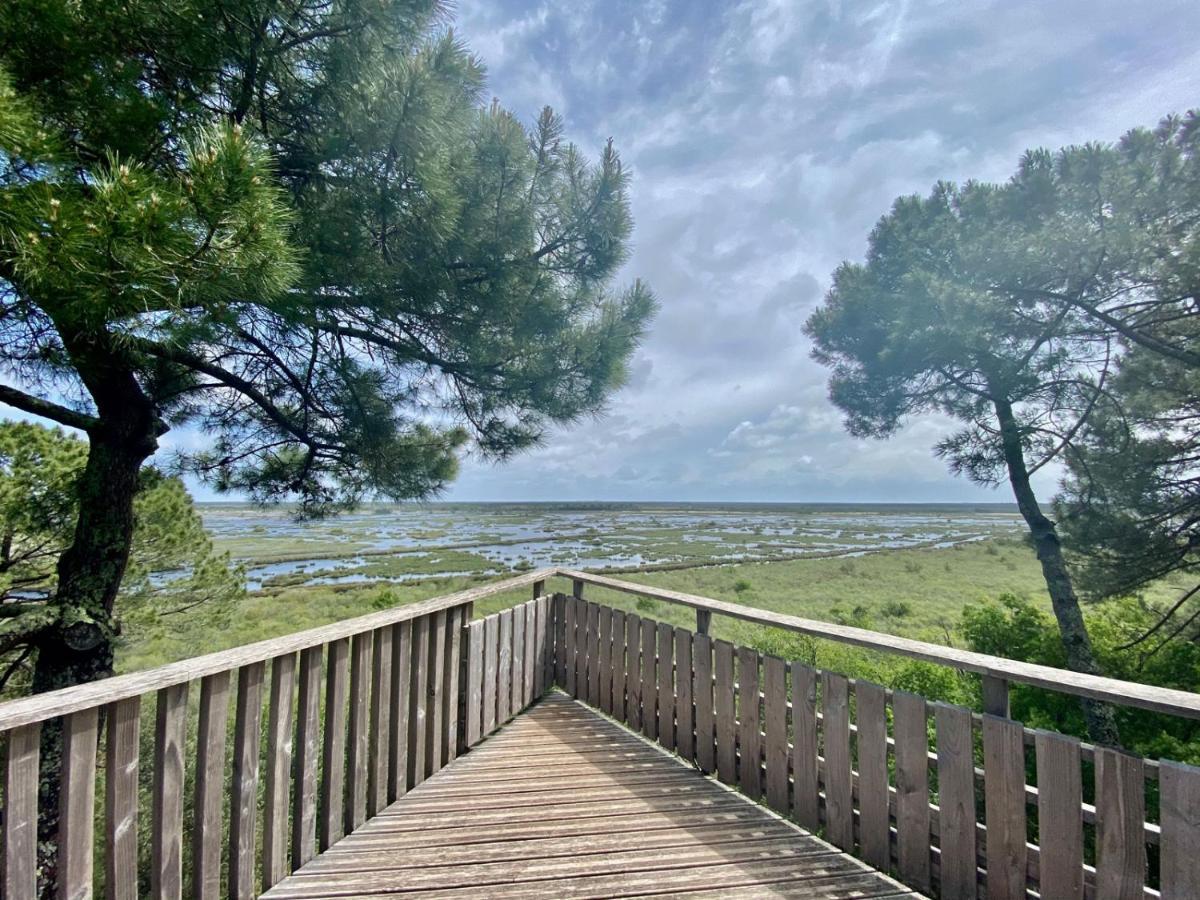 Maison Piscine 4 Ch Carcans Medoc Bassin Arcachon Екстериор снимка